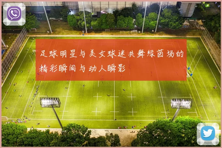 足球明星与美女球迷共舞绿茵场的精彩瞬间与动人瞬影
