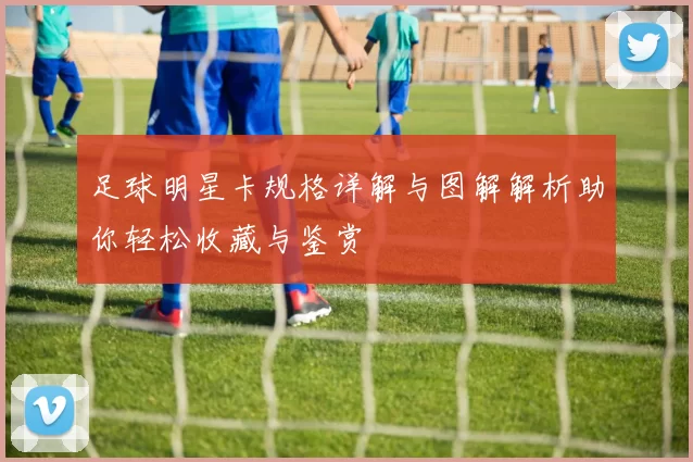 足球明星卡规格详解与图解解析助你轻松收藏与鉴赏