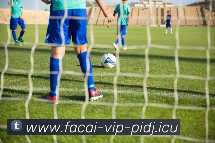 星空体育品牌故事