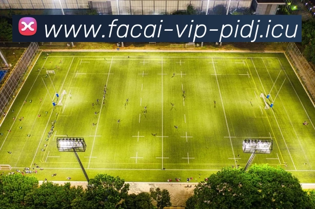 星空体育服务体系